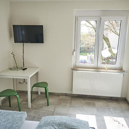 Greenhome Loerrach -Ihre Unterkunft Im 3-Laendereck- Eksteriør bilde