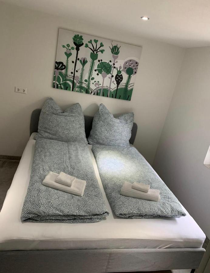 Greenhome Loerrach -Ihre Unterkunft Im 3-Laendereck- Rom bilde