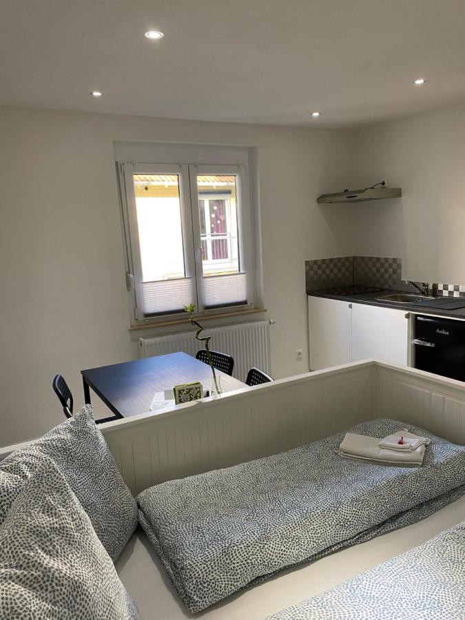 Greenhome Loerrach -Ihre Unterkunft Im 3-Laendereck- Eksteriør bilde
